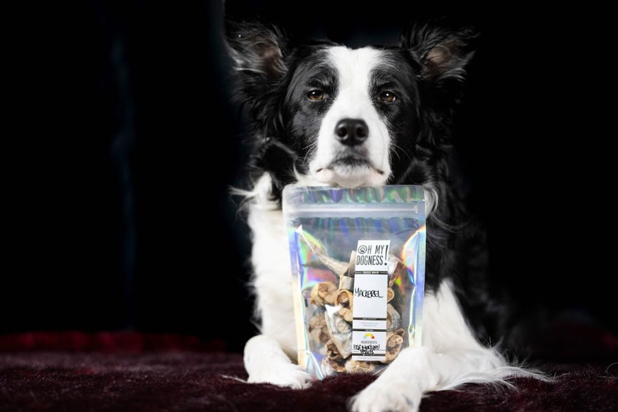 Freeze Dried Mackerel