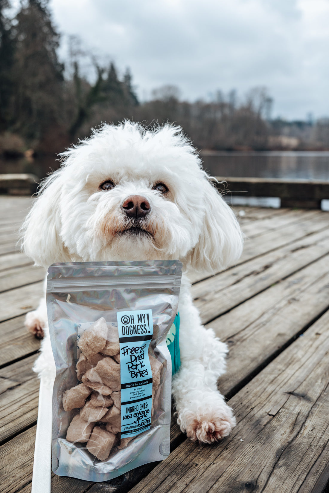 Freeze Dried Pork Tenderloin