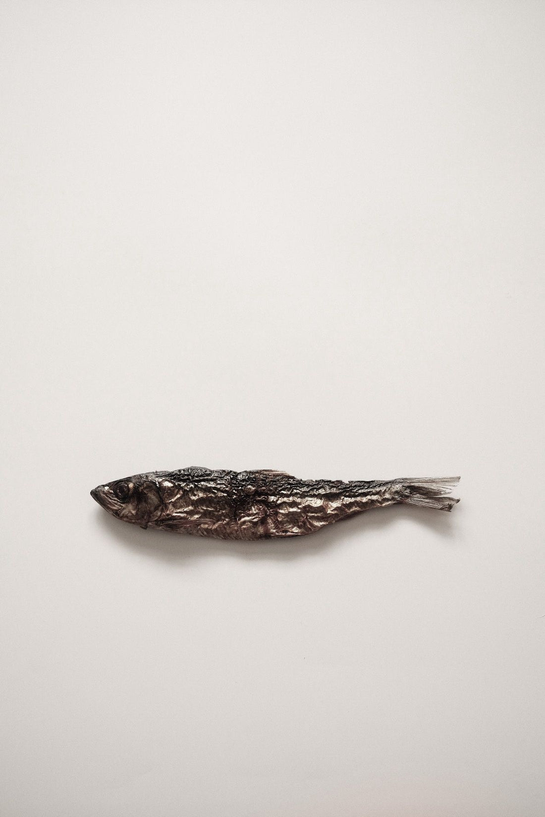 (Limited Release) Mini Herring - Whole Prey