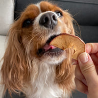 Apple Ring Slices