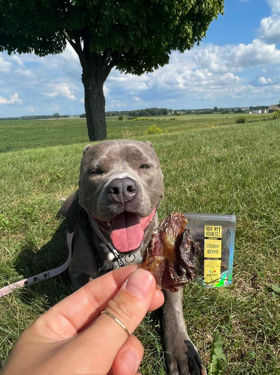 Chicken Gizzard