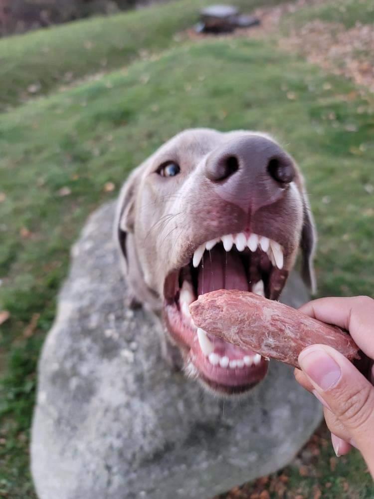 Freeze Dried Duck Necks