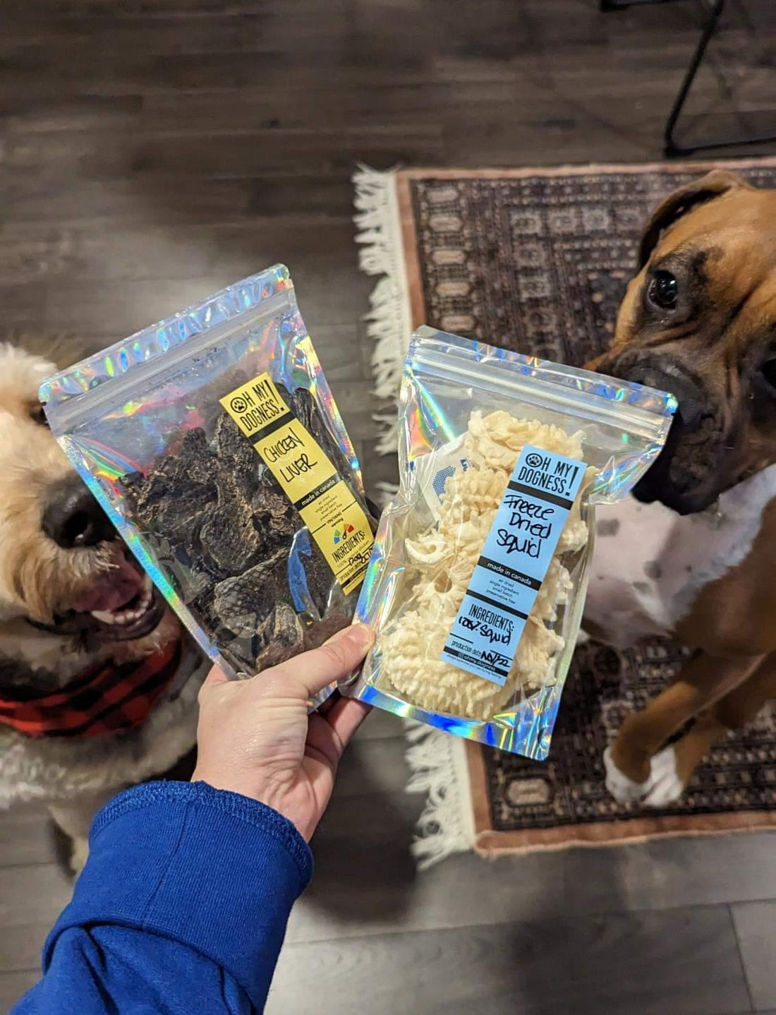 Freeze Dried Squid