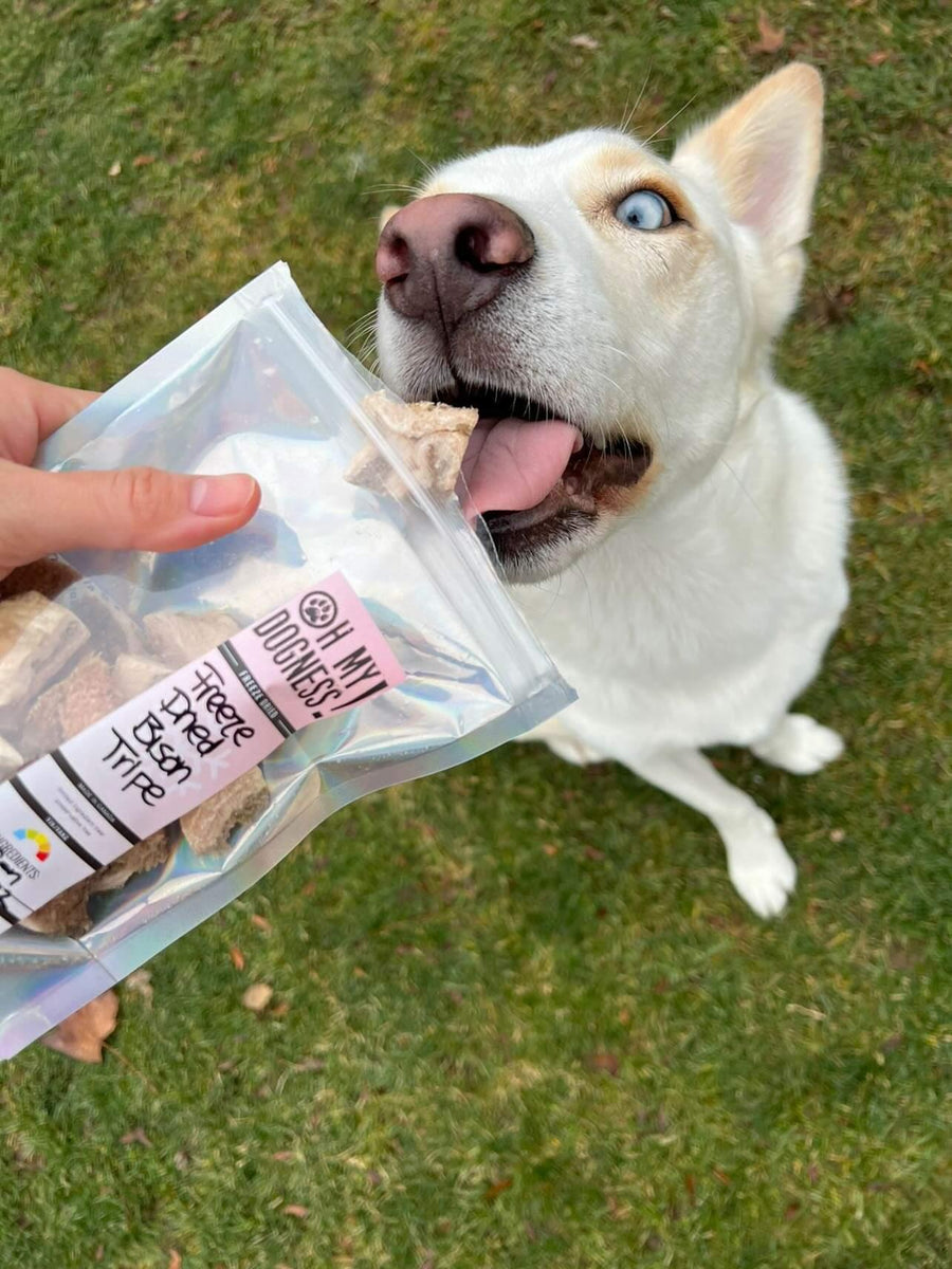 PRE-ORDER - Freeze Dried Bison Tripe
