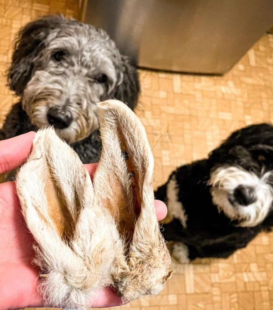 Lamb Ears (Fur On)