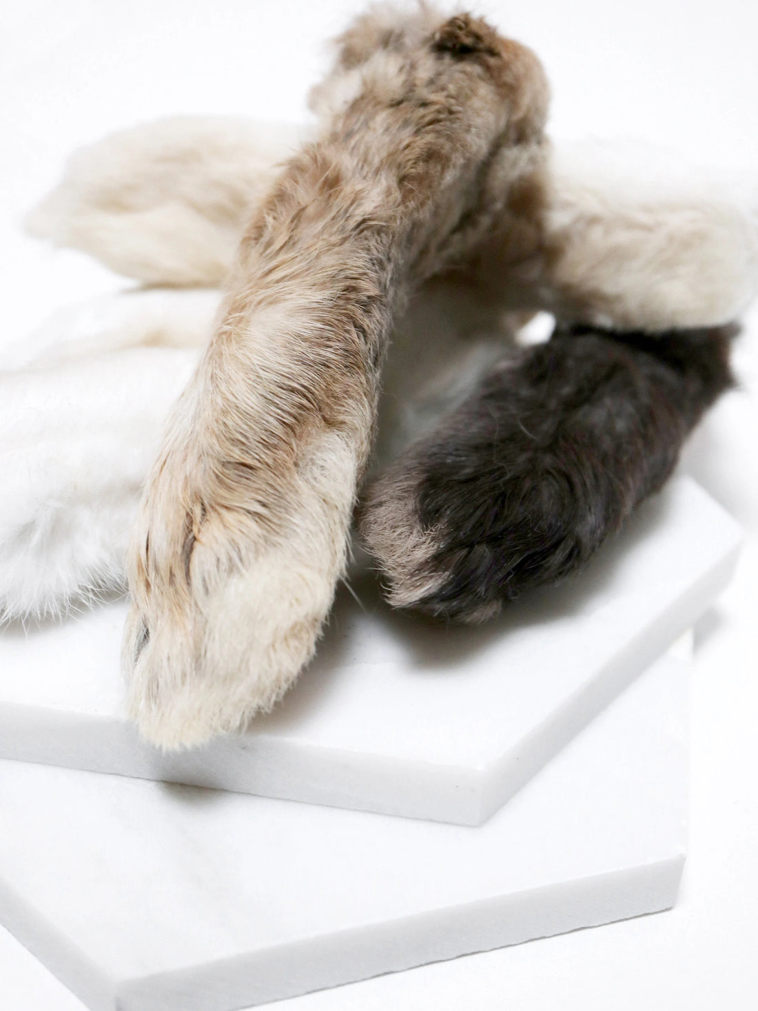 Rabbit Feet (Fur On)