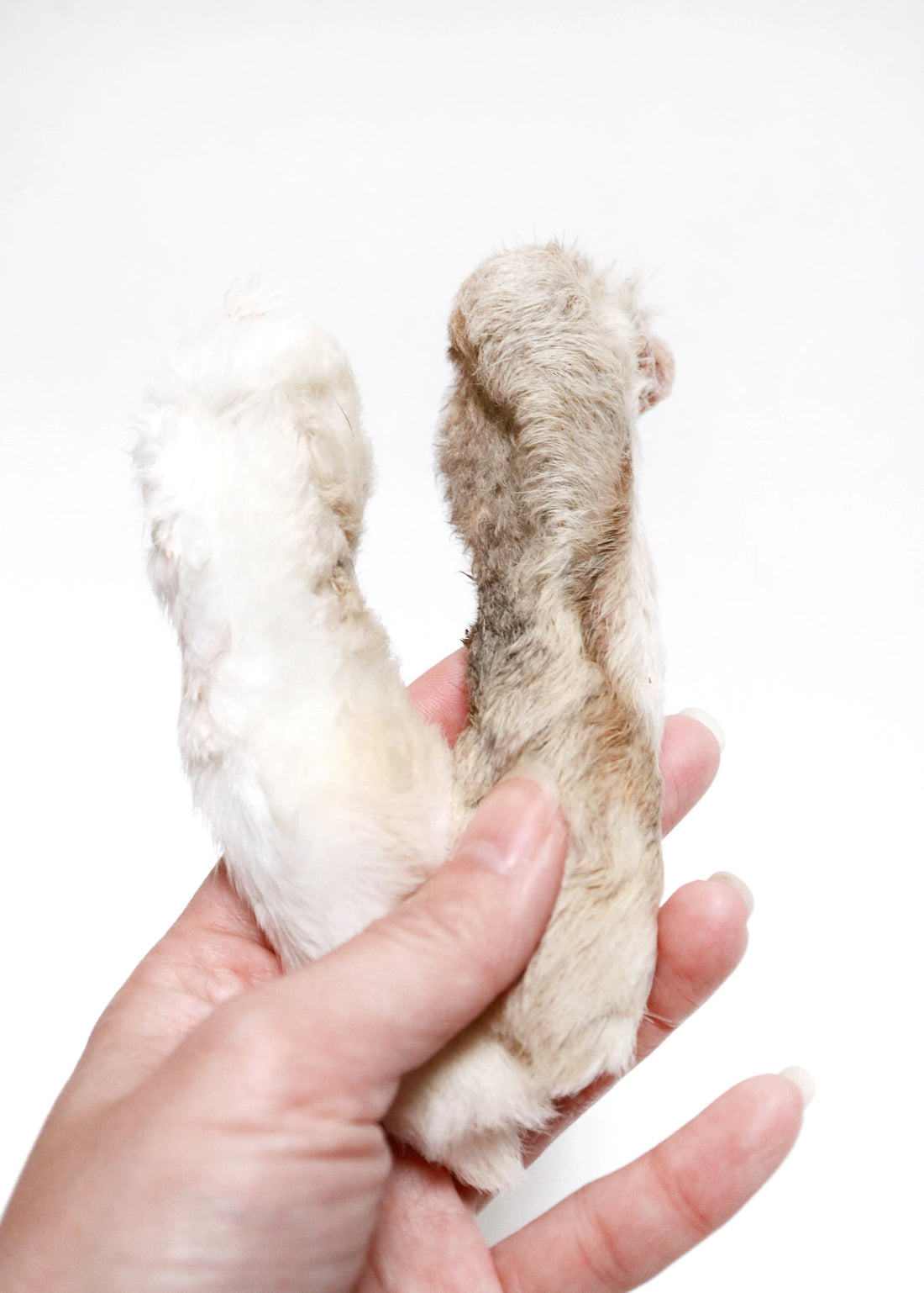 Rabbit Feet (Fur On)