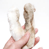 Rabbit Feet (Fur On)