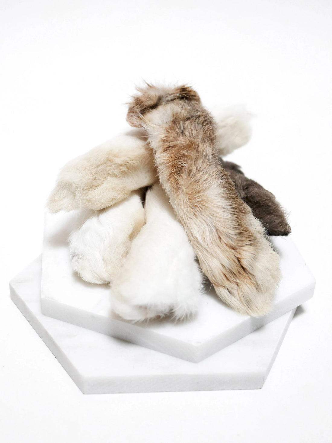 Rabbit Feet (Fur On)