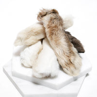 Rabbit Feet (Fur On)