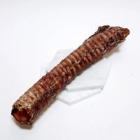 Beef Trachea