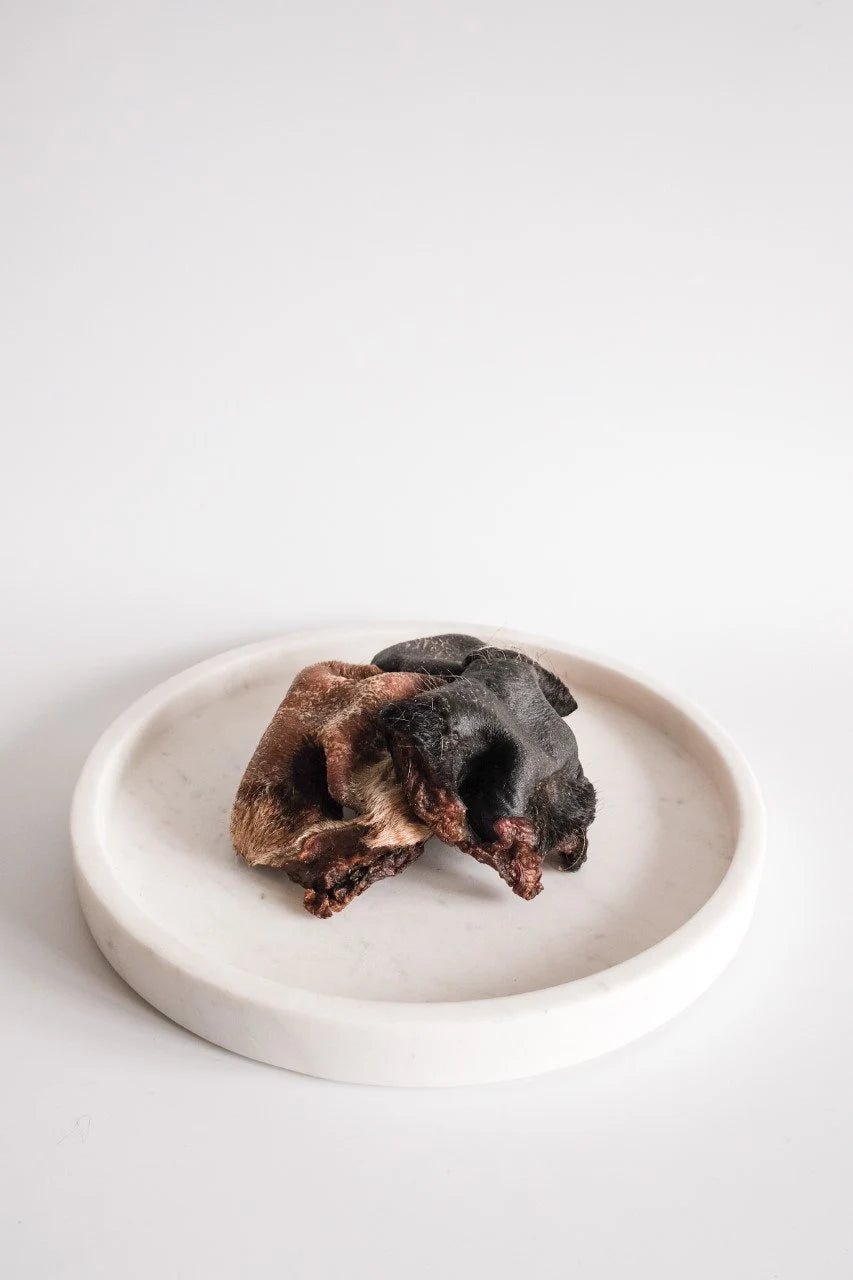 Beef Snouts