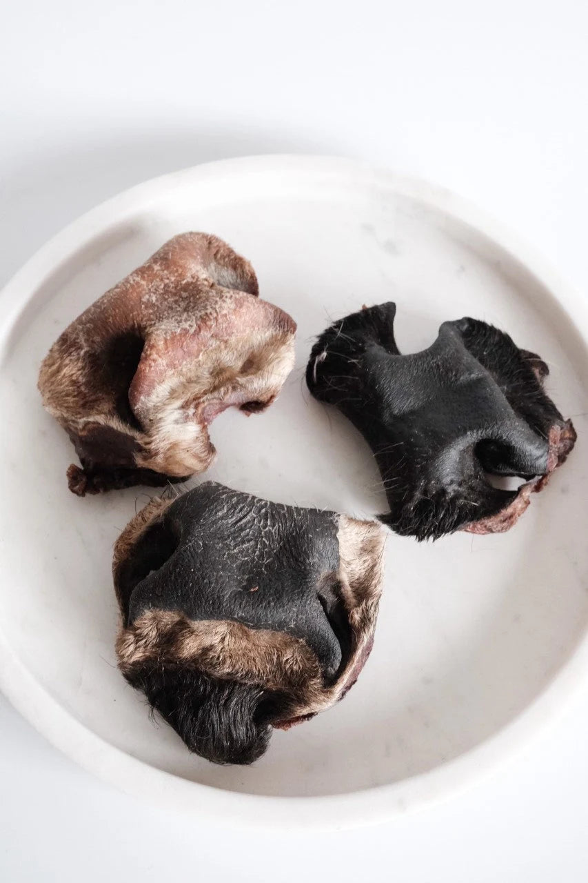 Beef Snouts