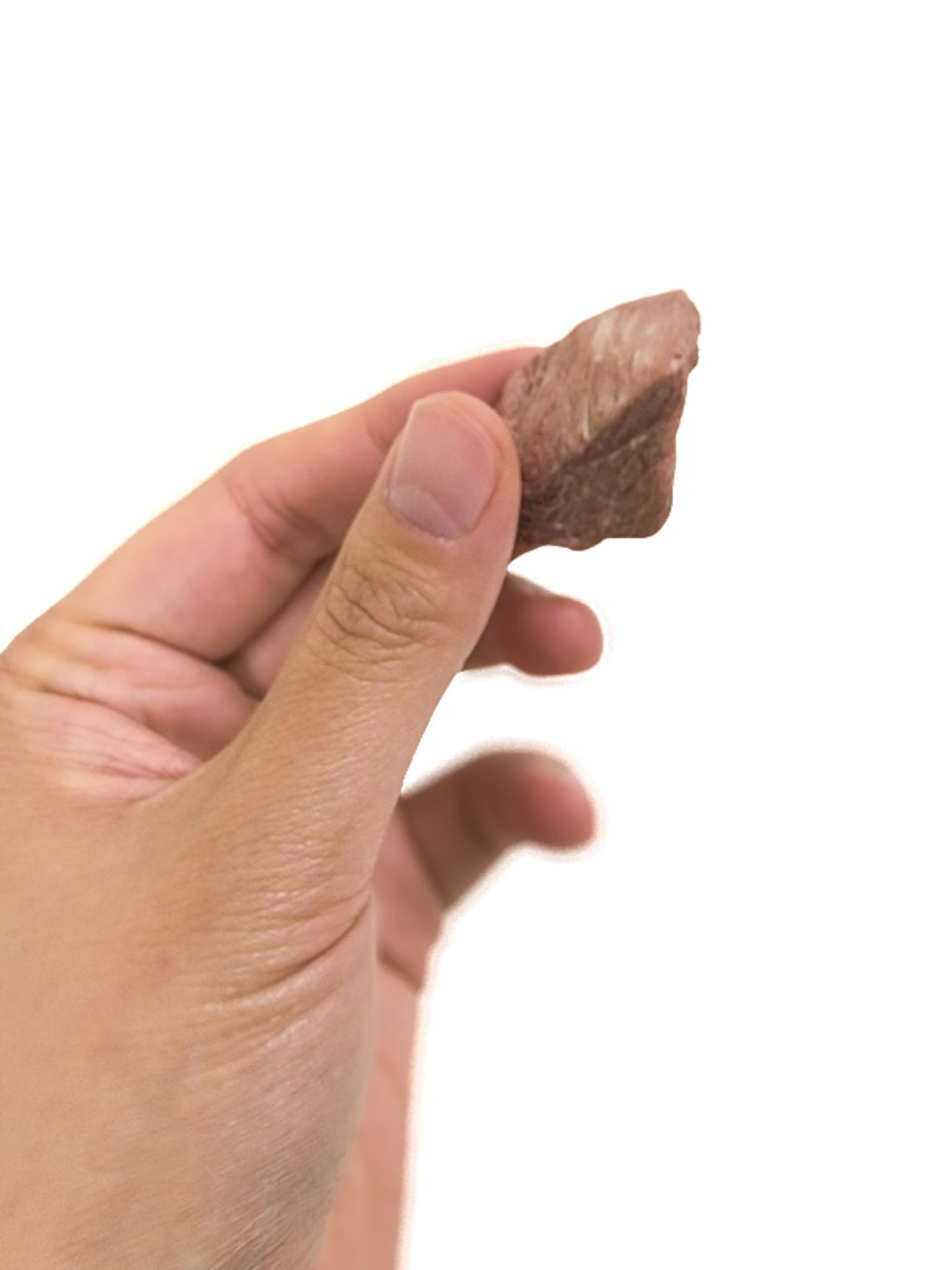 Freeze dried Beef Jerky Bites