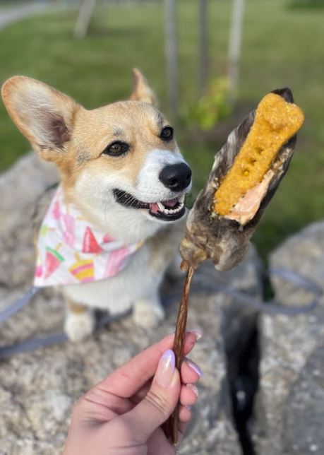 Lamb Ears (Fur On)