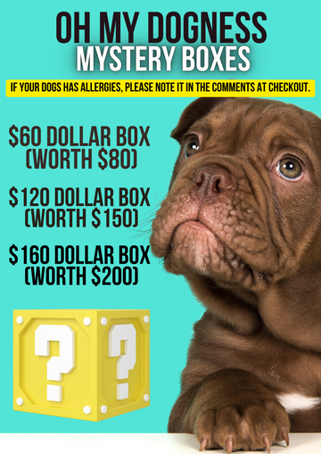 Oh my dog deals markham