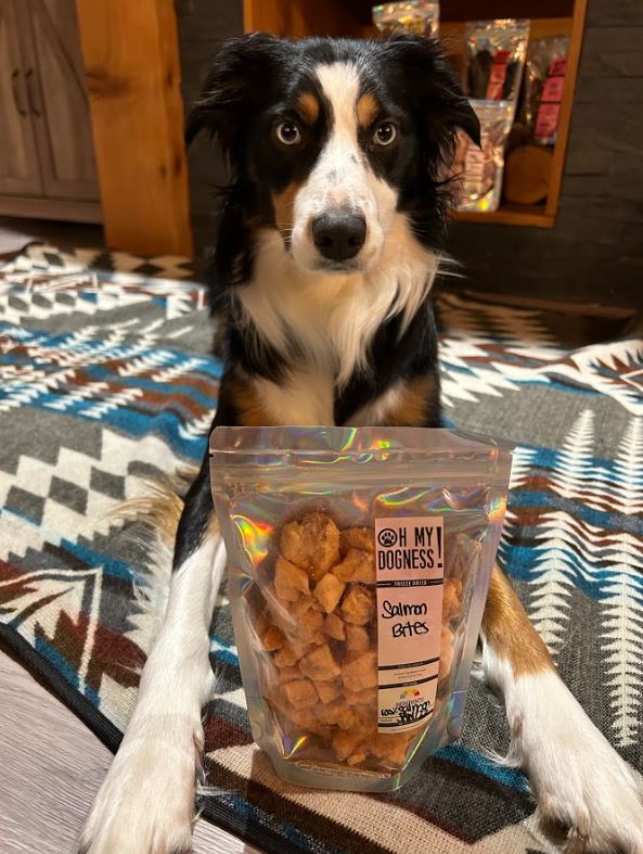 Freeze dried Salmon Bites