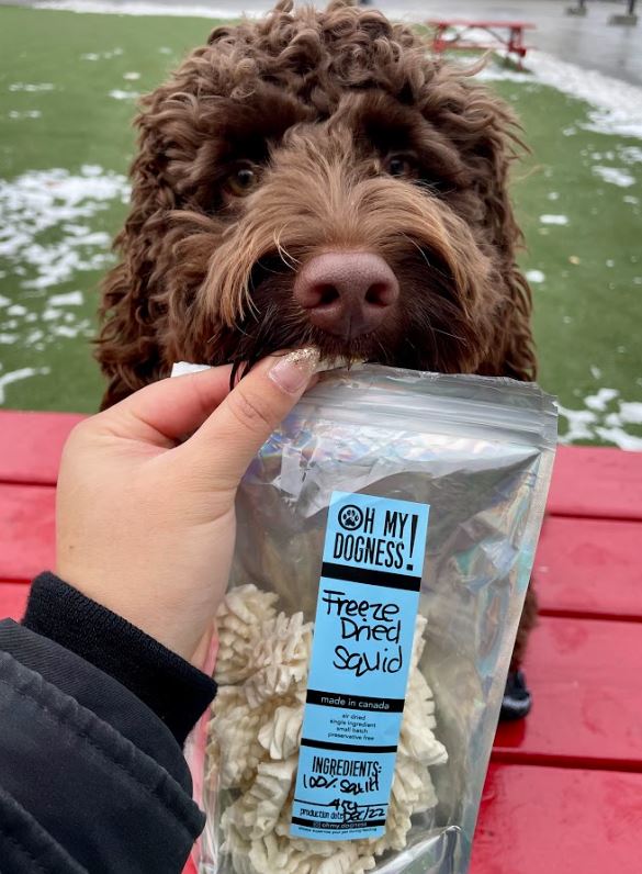 Freeze Dried Squid